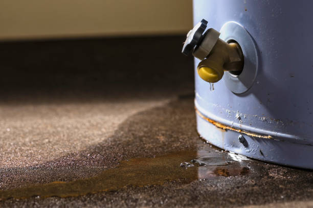 Best Carpet water damage restoration  in Aptos, CA