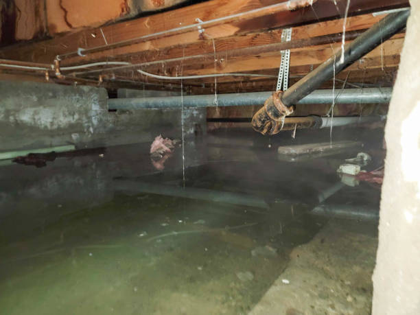 Best Water damage contractors near me  in Aptos, CA