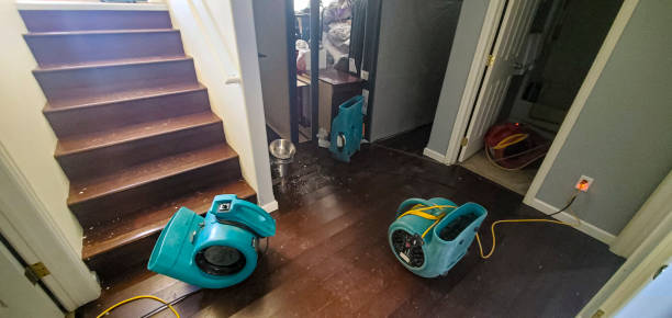 Best Basement water damage restoration  in Aptos, CA