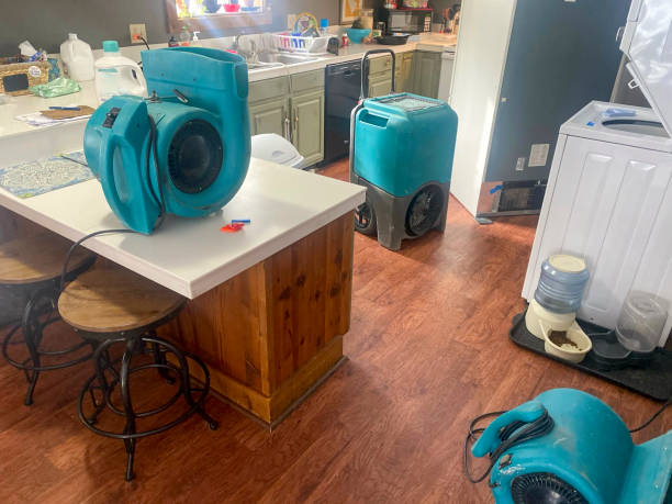 Best Mold removal after water damage  in Aptos, CA