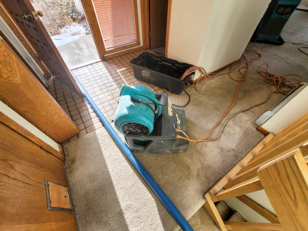 Best 24/7 water damage repair  in Aptos, CA