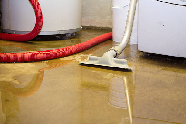 Best Ceiling water damage repair  in Aptos, CA