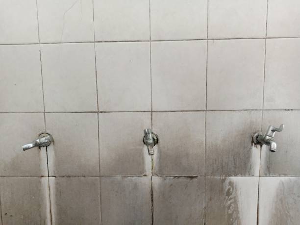 Best Flood damage cleanup  in Aptos, CA