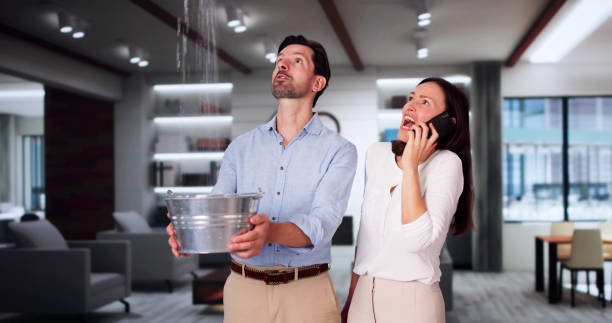 Best Ceiling water damage repair  in Aptos, CA
