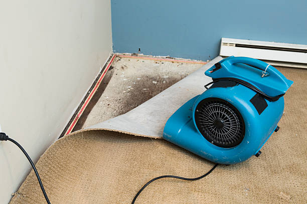 Best 24-hour water damage restoration  in Aptos, CA